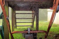 rainy spider web