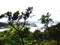 A View From The Top