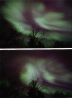 nature amaze