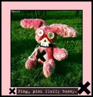 Pingy