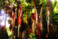 Fabric On Trees