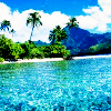 Click to view original image