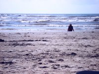 alone on the beach