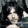 Click to view original image
