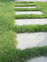 Squared Garden Walkway