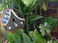 Bird house