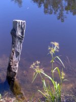 Post and flowers