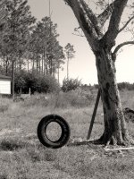 Swing with tree