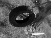 Tire swing