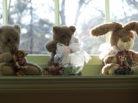 stuffedd animals