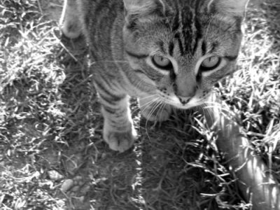 Click to view original image