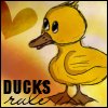 Ducks Rule