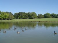 Shakespear Park
