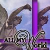 All My World