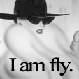 I am Fly