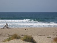 Cali: Surf Beach