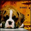 bored