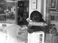 monkey