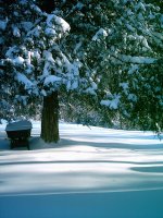 snowfall