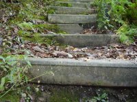 Steps to Nature
