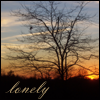 Lonely