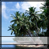 Paradise [av]