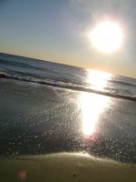 suns and oceans