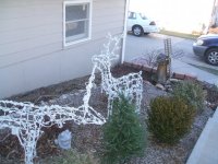 deer