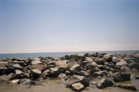 Intercostal Island;;one.