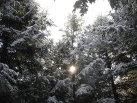 snow