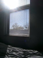 My Room