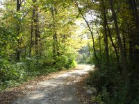 dirt road