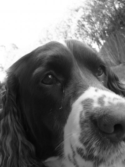 Click to view original image