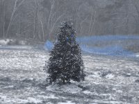 First Snow