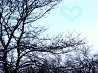 winter love