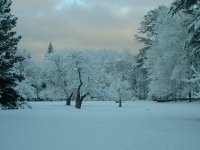 snow on pennylvania apple field