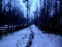 fresh snow