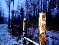 fresh snow part 2