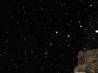 snow flakes