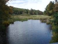 pond