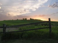 Sunset on a Field