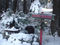reindeer crossing