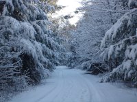 snowy road