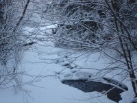 snowy river