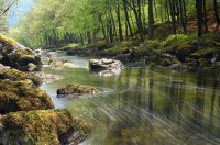 river