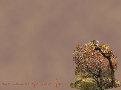 Click to view original image