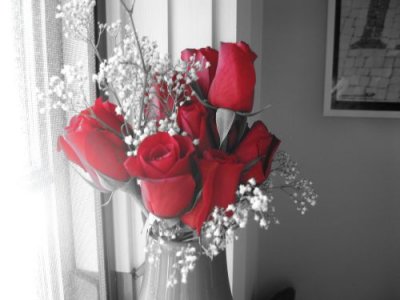 Click to view original image