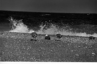 Click to view original image