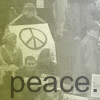 Click to view original image