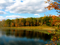 The Colors of Autumn